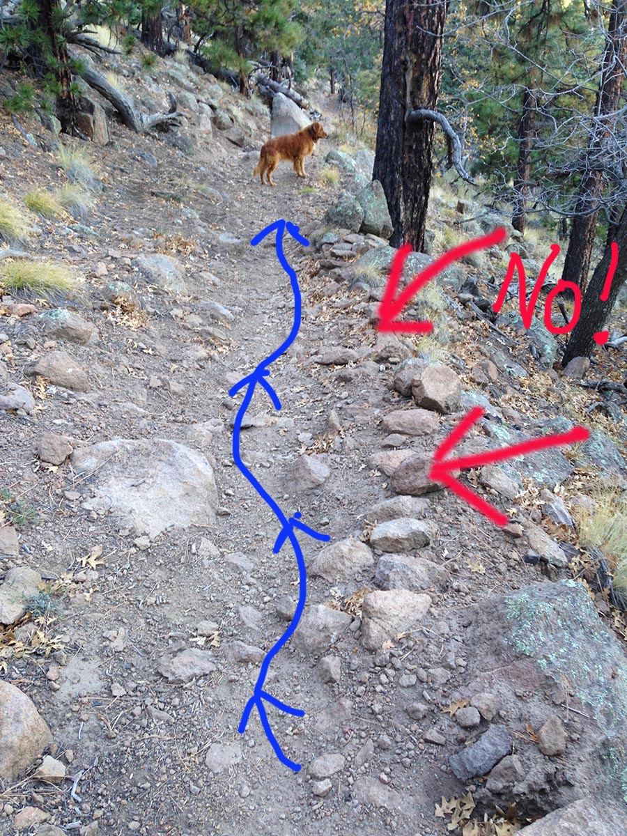 Bad trail design.  The Lower Brookbank Trail in Flagstaff AZ